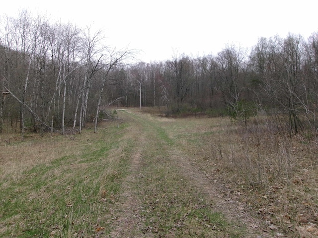 880 Judy Trl, Harrison, MI 48625
