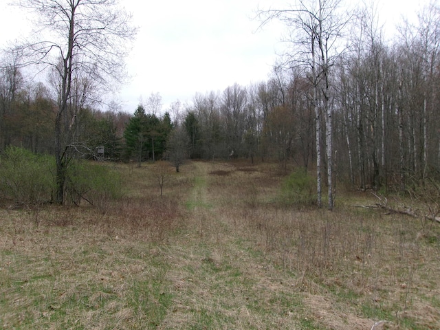 880 Judy Trl, Harrison, MI 48625