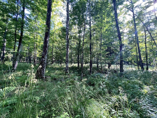 13254 Town Rd, Skanee, MI 49962