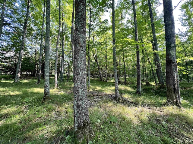 13254 Town Rd, Skanee, MI 49962