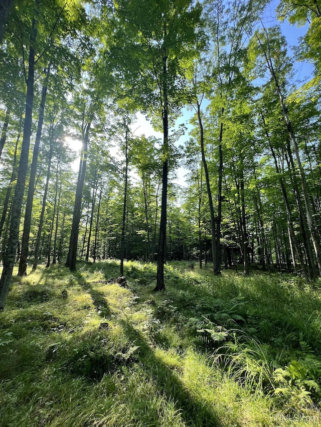 13254 Town Rd, Skanee, MI 49962