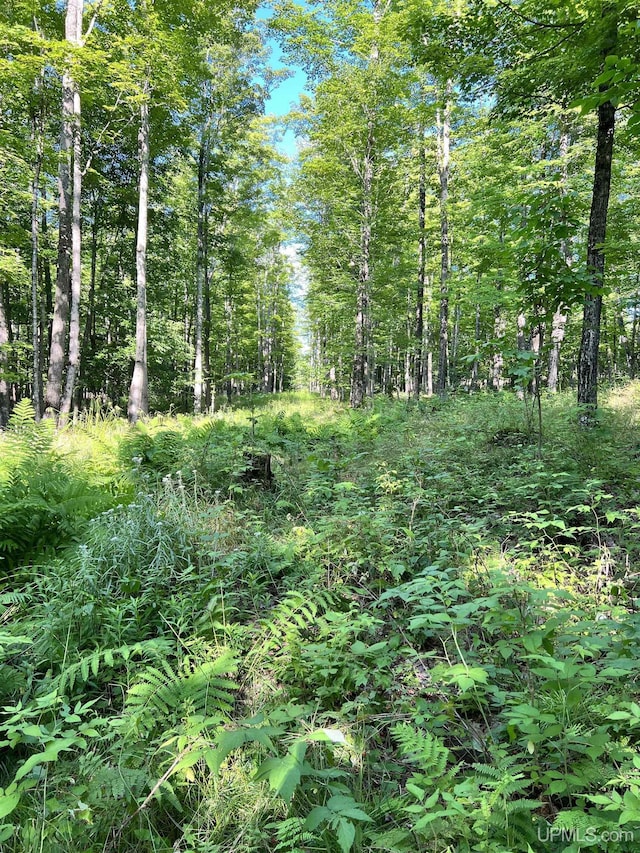 13254 Town Rd, Skanee, MI 49962