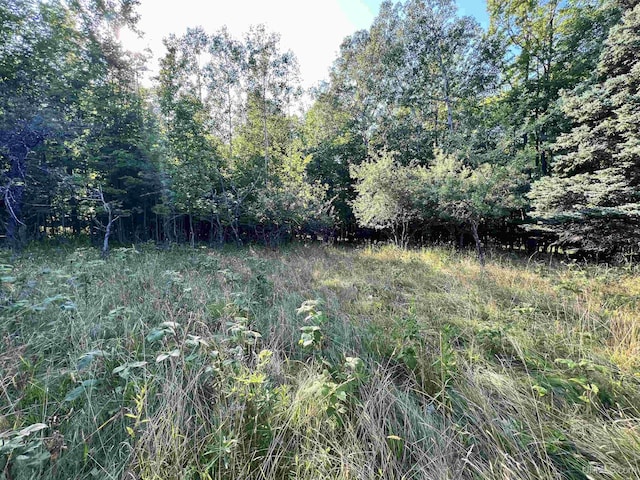 13254 Town Rd, Skanee, MI 49962