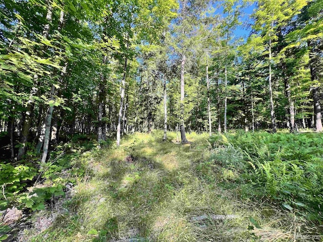 13254 Town Rd, Skanee, MI 49962