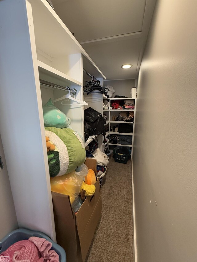 455 Garfield Rd, Fostoria, MI 48435 - walk in closet featuring carpet