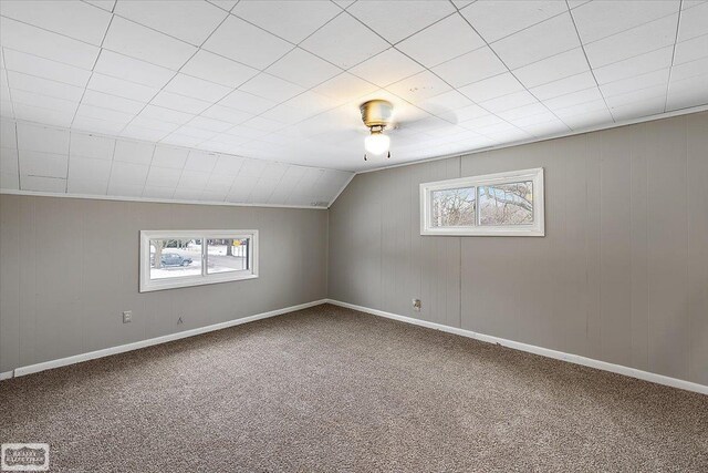 455 Garfield Rd, Fostoria, MI 48435 - bonus room with ceiling fan, lofted ceiling, and carpet