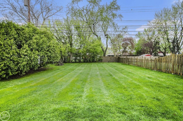 view of yard with a fenced backyard