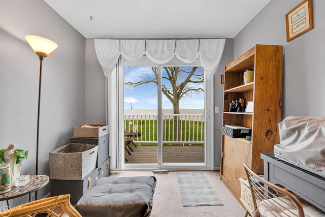 living area with carpet flooring