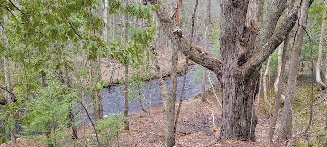 property view of water with a wooded view