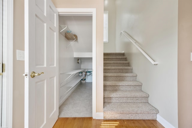 staircase featuring wood finished floors