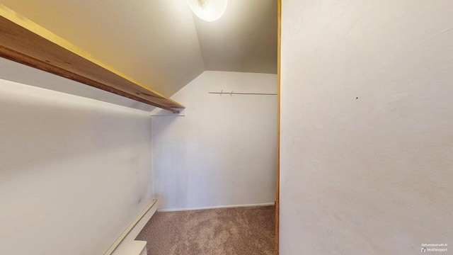 walk in closet featuring carpet and lofted ceiling