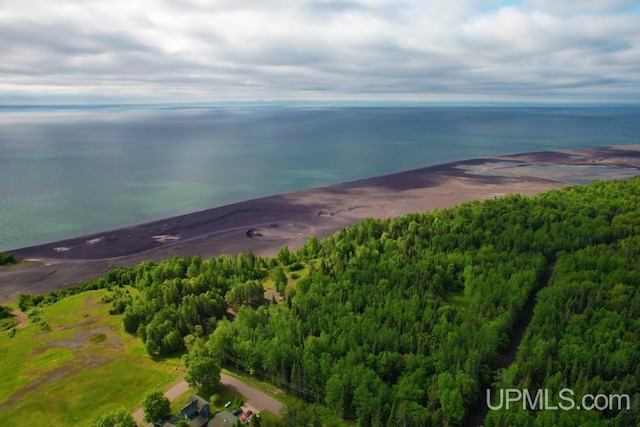 birds eye view of property featuring a water view and a view of trees