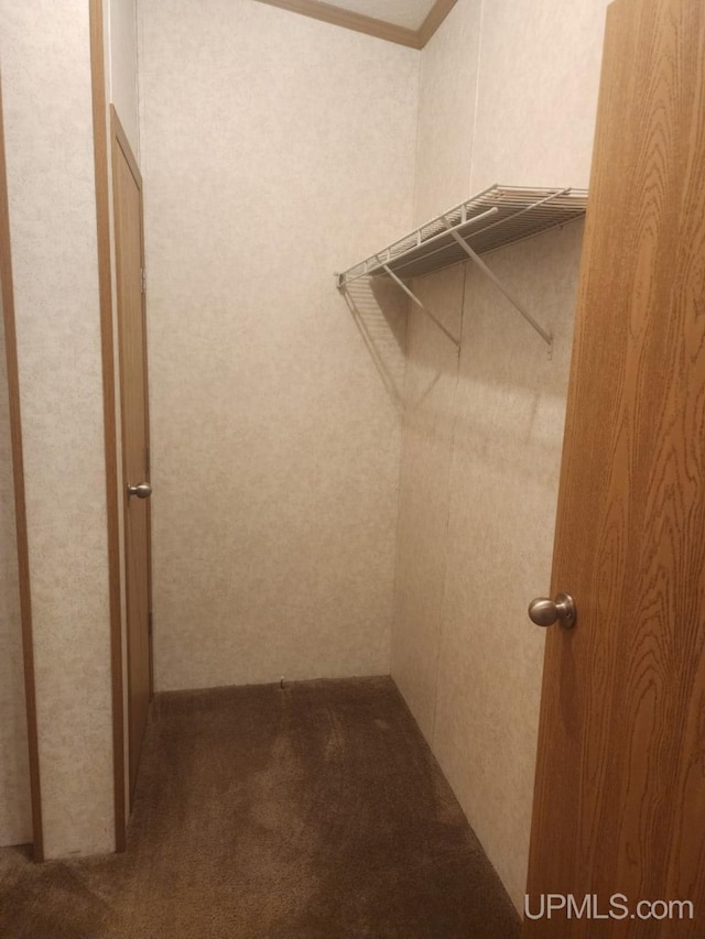 spacious closet with carpet floors