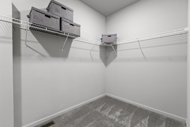 walk in closet featuring carpet flooring and visible vents