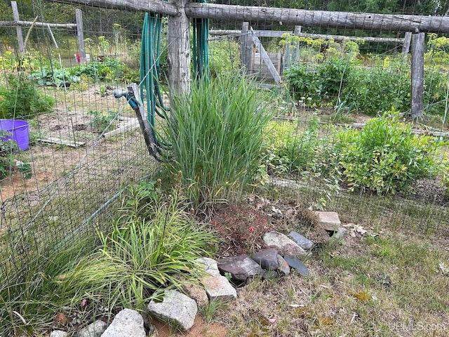 view of yard with a vegetable garden