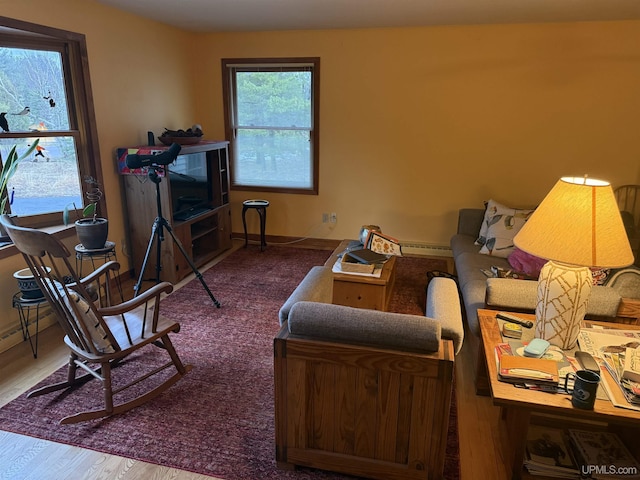 living area featuring wood finished floors