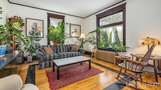 living room with ornamental molding, radiator, and wood finished floors