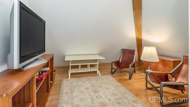 living area with wood finished floors