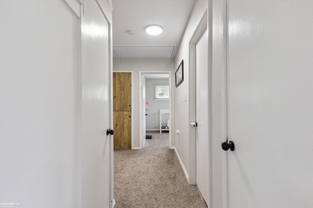 corridor with baseboards and carpet flooring
