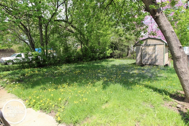 view of yard with a storage unit and an outdoor structure