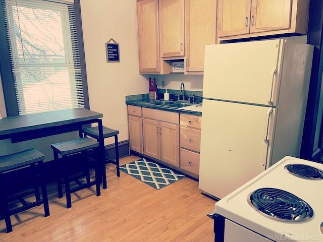 kitchen featuring light brown cabinetry, dark countertops, a sink, light wood finished floors, and white appliances