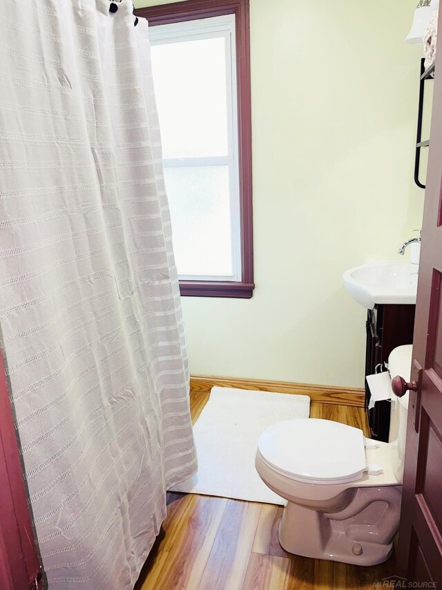 225 E Ridge St, Ironwood, MI 49938 - bathroom with toilet, wood finished floors, and vanity