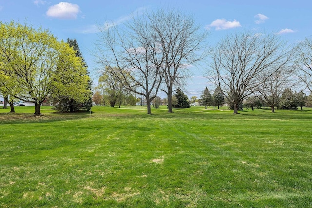 9035 Greenway Blvd Unit C-48, Saginaw, MI 48609 - view of yard