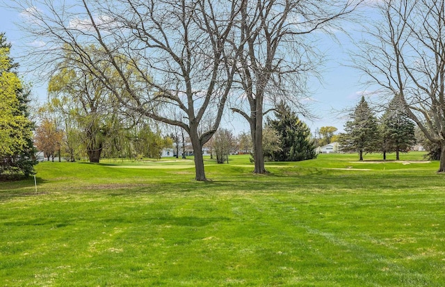 surrounding community with a yard