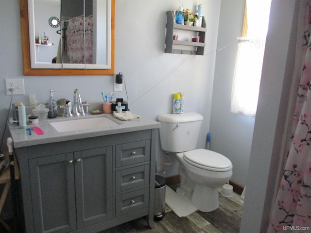 full bath featuring vanity, plenty of natural light, wood finished floors, and toilet