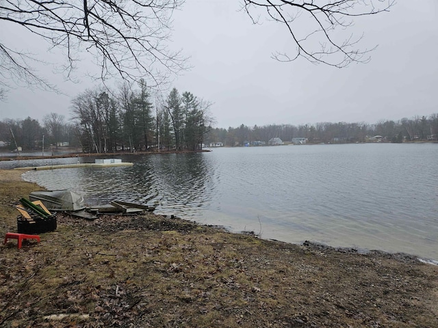 property view of water