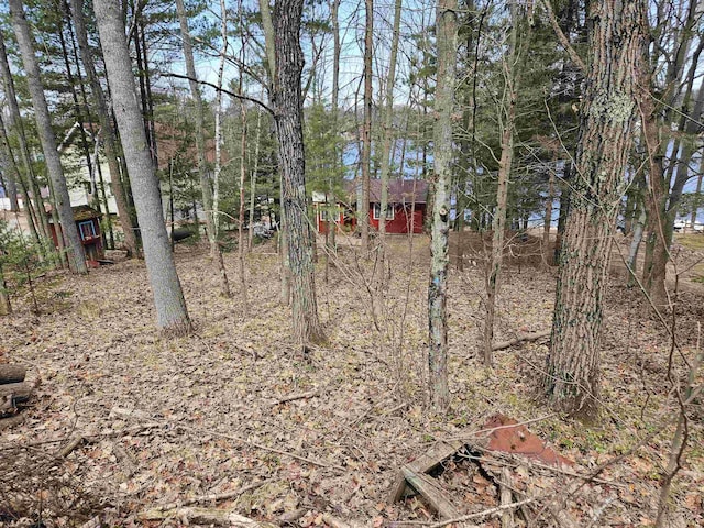 view of yard with an outbuilding