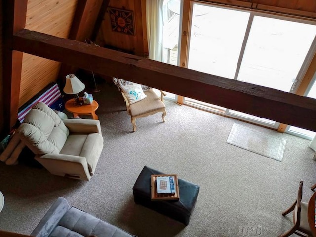 view of carpeted living room