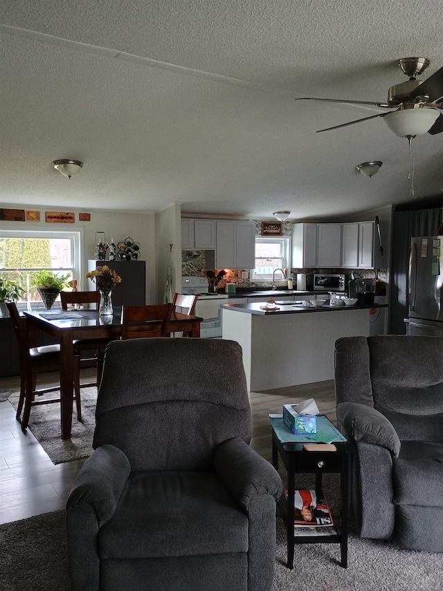 living area featuring a ceiling fan and a textured ceiling