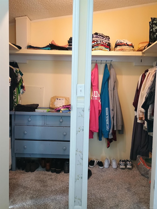 walk in closet with carpet
