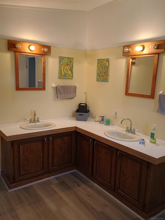 full bathroom featuring a sink, double vanity, and wood finished floors