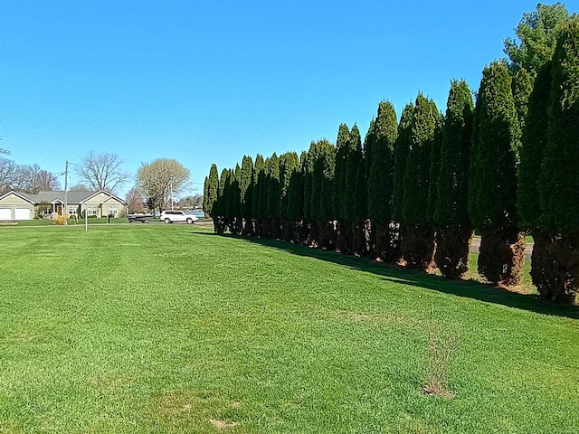 view of yard