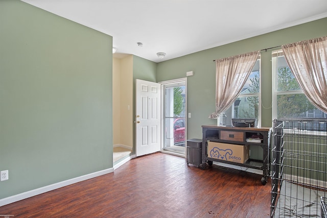 entryway featuring baseboards, plenty of natural light, and wood finished floors