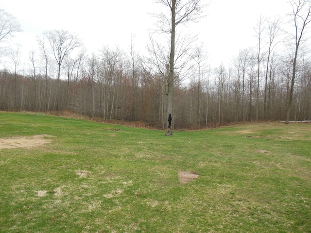 view of yard featuring a view of trees