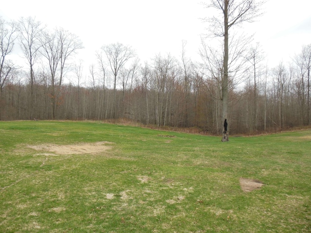 view of yard featuring a view of trees