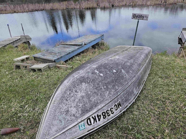 dock area with a water view