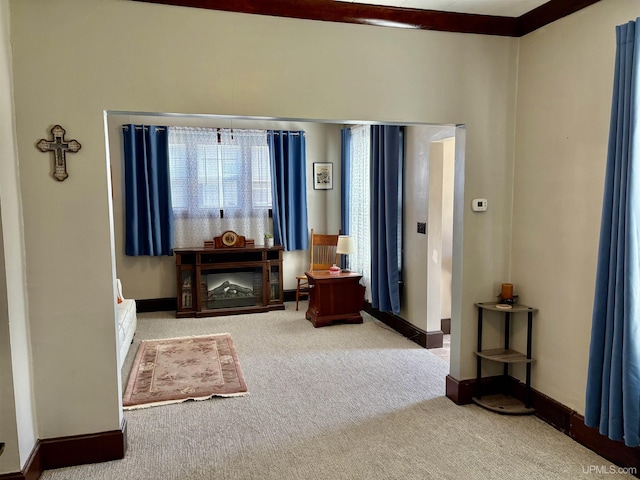 interior space featuring carpet floors and baseboards
