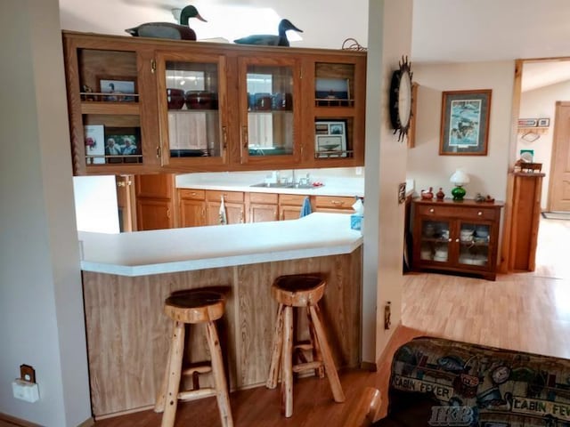 bar with a sink and wood finished floors