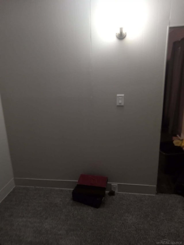 details featuring baseboards and carpet flooring