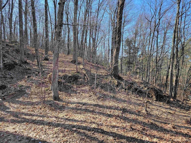 131 Midway Dr, Negaunee, MI 49866 - view of yard