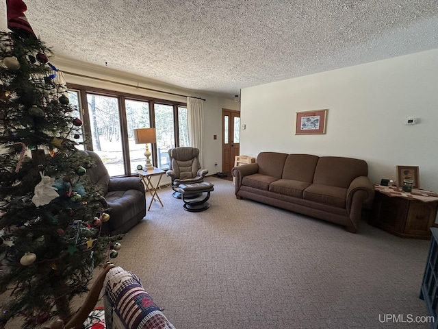 carpeted living area featuring a textured ceiling
