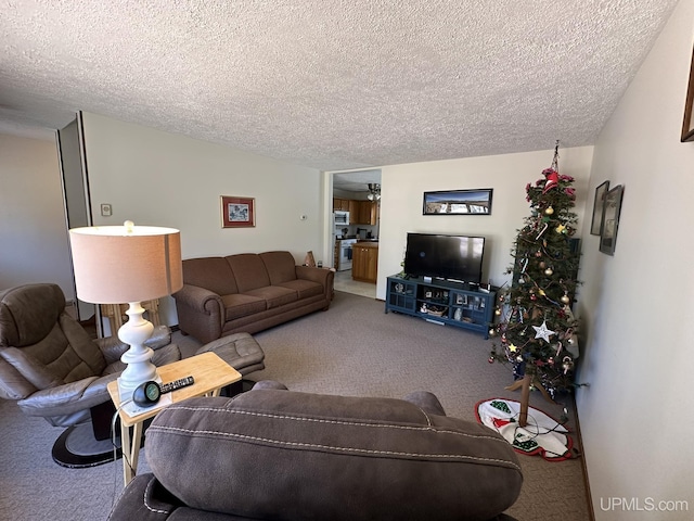 living room featuring a textured ceiling and carpet