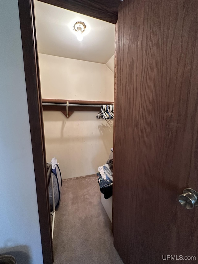 spacious closet featuring carpet flooring