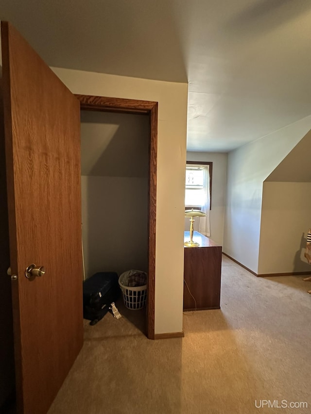 additional living space with baseboards and carpet flooring