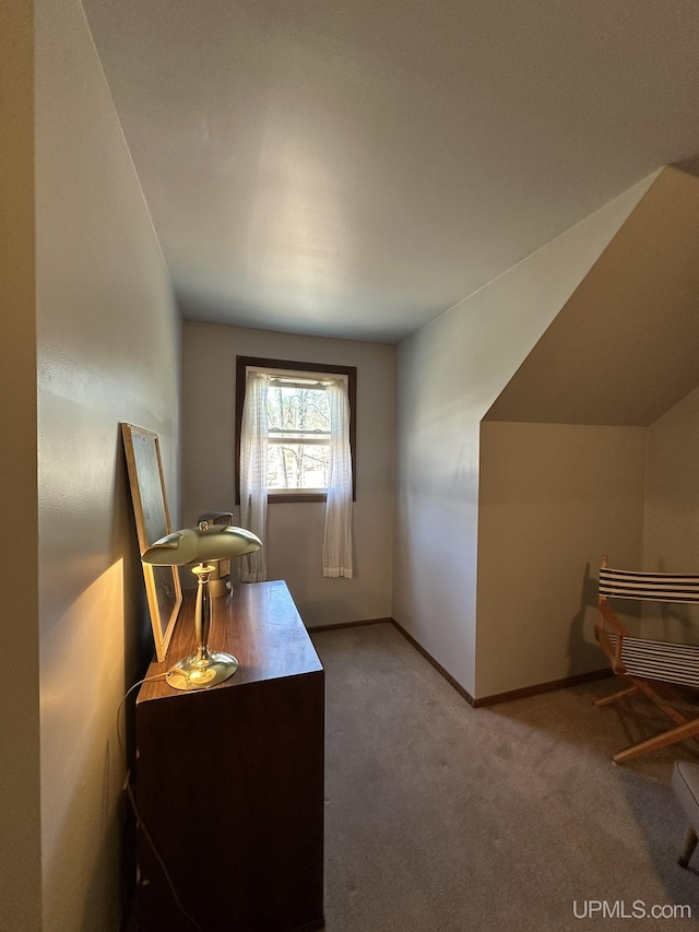 bonus room featuring carpet flooring and baseboards