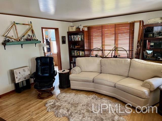 living room featuring wood finished floors